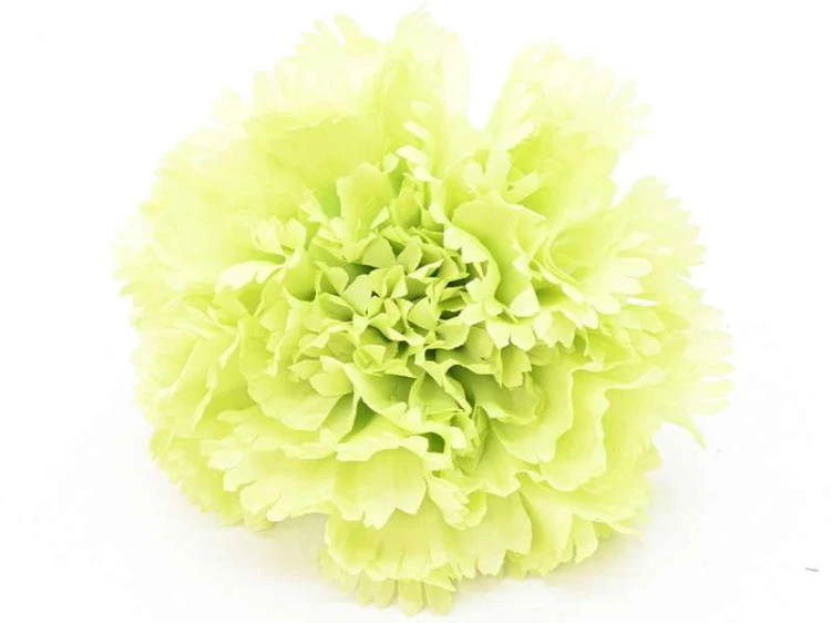 Goździk wyrobowy CV31484 24szt/opak GREEN
