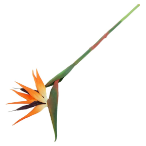 Gałązka strelicja 86cm