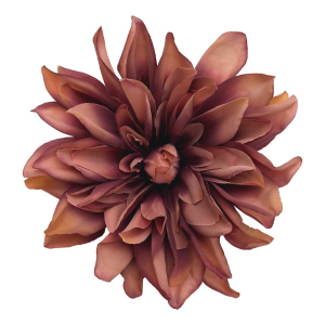 Dalia wyrobowa 17cm (24 szt) DIRTY