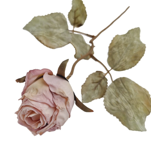 Gałązka róży suszona 40cm 