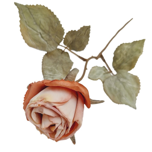 Gałązka róży suszona 40cm