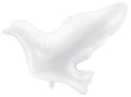 biały gołąb
