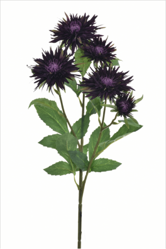 Gałązka Aster 70cm OBERGINE