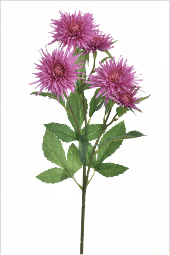 Gałązka Aster 70cm DR PINK