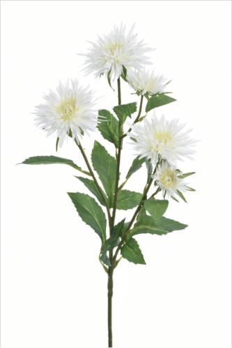 Gałązka Aster 70cm CREAM