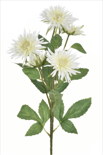 Gałązka Aster 70cm CREAM GREEN