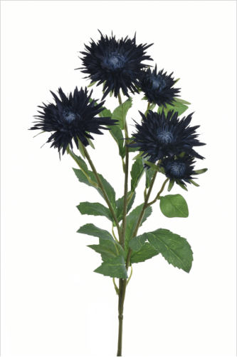 Gałązka Aster 70cm BLUE BLACK