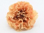 Goździk wyrobowy CV31484 24szt/opak ORANGE/BROWN