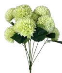 Bukiet chryzantema 9szt. 50cm zielony