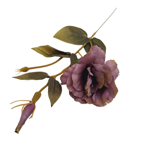 Eustoma pojedyncza 56cm