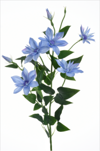 Gałązka klematis 80cm LT BLUE