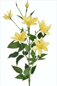 Gałązka klematis 80cm LEMON