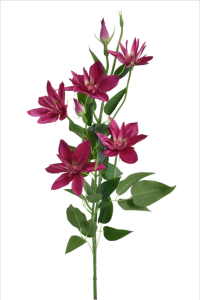 Gałązka klematis 80cm BEAUTY