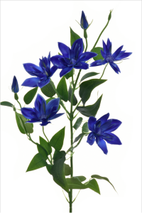Gałązka klematis 80cm BLUE