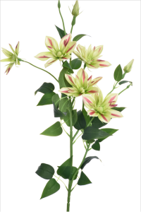 Gałązka klematis 80cm GREEN BEAUTY