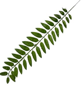 Liść sztuczny 50cm 5szt/opak GREEN