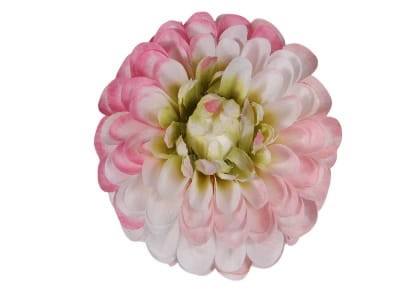 Dalia wyrobowa 10cm 6szt/opak