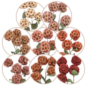 Gałązka driakiew 67cm mix