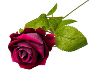 Gałązka róża welur 51cm BORDO