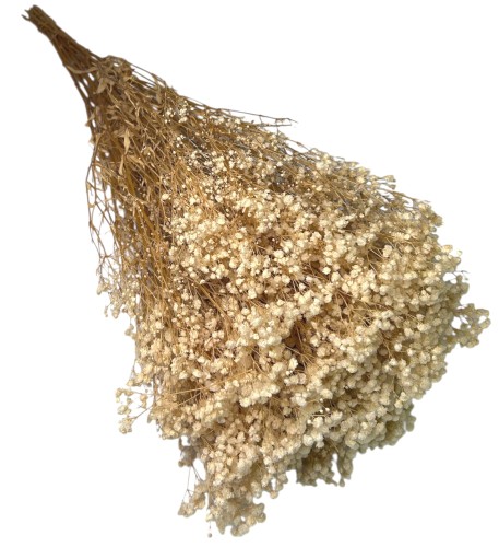 Gipsówka stabilizowana kremowa 400g