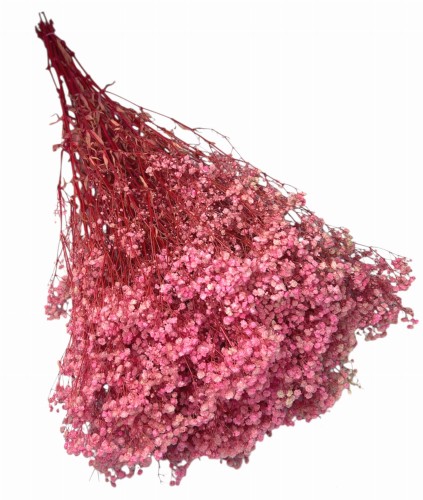 Gipsówka stabilizowana różowa 400g