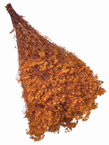 Gipsówka stabilizowana pomarańcz 400g