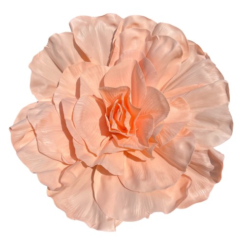 Róża piankowa 70cm brzoskiwinia