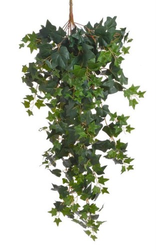 Wiszący krzew bluszczu 120cm