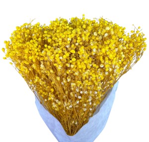 Gipsówka stabilizowana żółty 400g