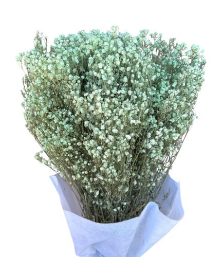Gipsówka stabilizowana pistacja 400g