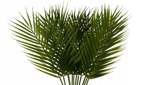 Liść palmy 58cm