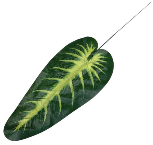 Liść bananowca BA002