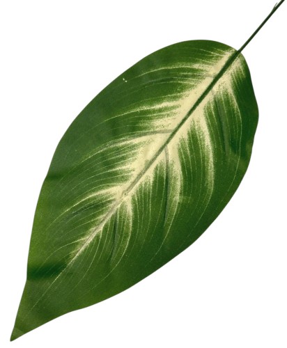 Liść sztuczny 12szt/opak 50cm BL058