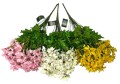 BUKIET RUMIANEK CV33536-MIX