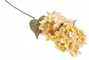 Gałązka hortensja 72cm