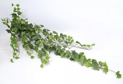 Wiszący bluszcz 110cm