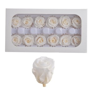 Róża stabilizowana 12szt/pacz