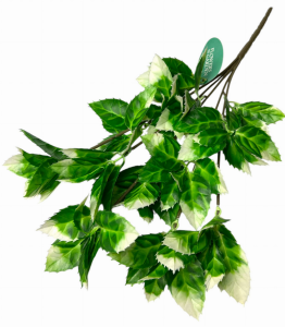 Bukiet eukalipstus x5 52cm