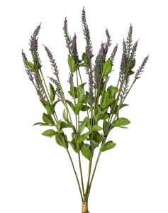 Lawenda wiązka x5 56cm