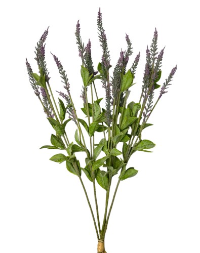 Lawenda wiązka x5 56cm