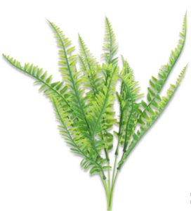 Dodatek Paproś bukiet JH030
