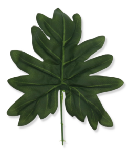 Liść Filodendrona B052 12szt/opak