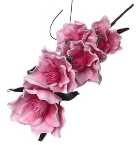 Magnolia piankowa 103cm