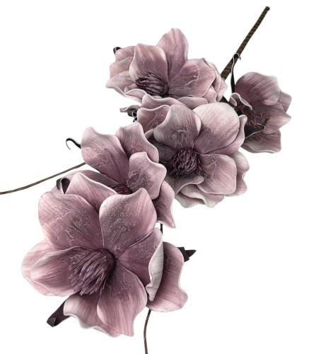 Magnolia piankowa 103cm