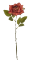 11CAN21033_OR2