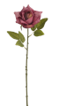 11CAN21033_R5