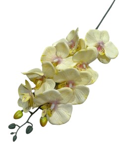 Gałązka storczyk 75cm