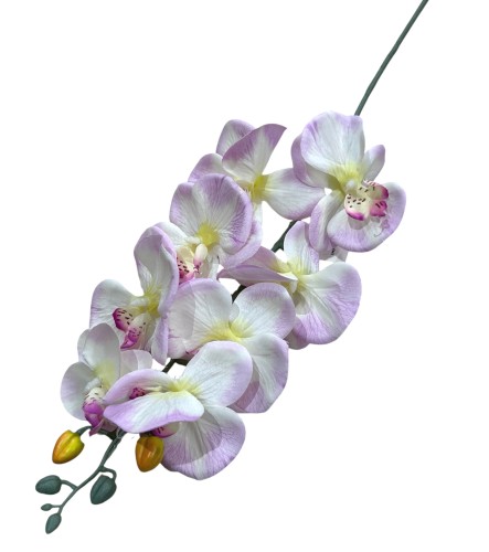Gałązka storczyk 75cm