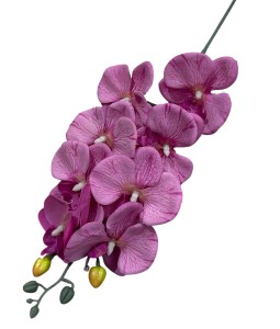 Gałązka storczyk 75cm