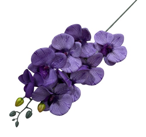 Gałązka storczyk 75cm